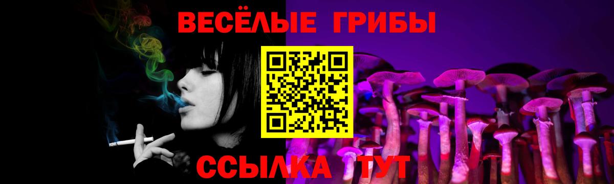 цены   Галлюциногенные грибы прущие грибы  Вход с VPN  Артём 